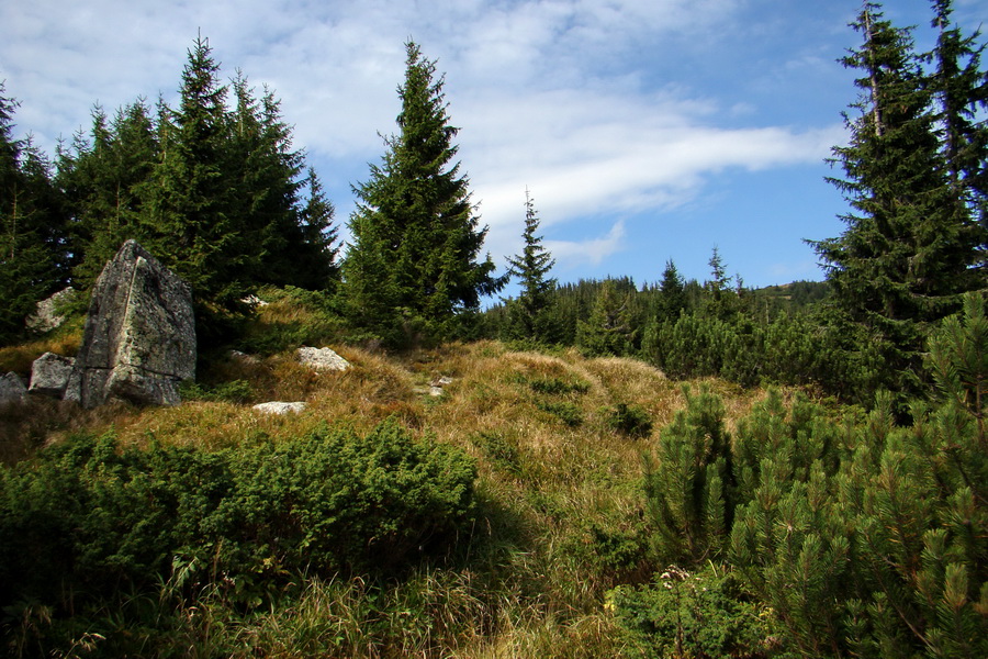 Ďumbier z Lúčok (Nízke Tatry)