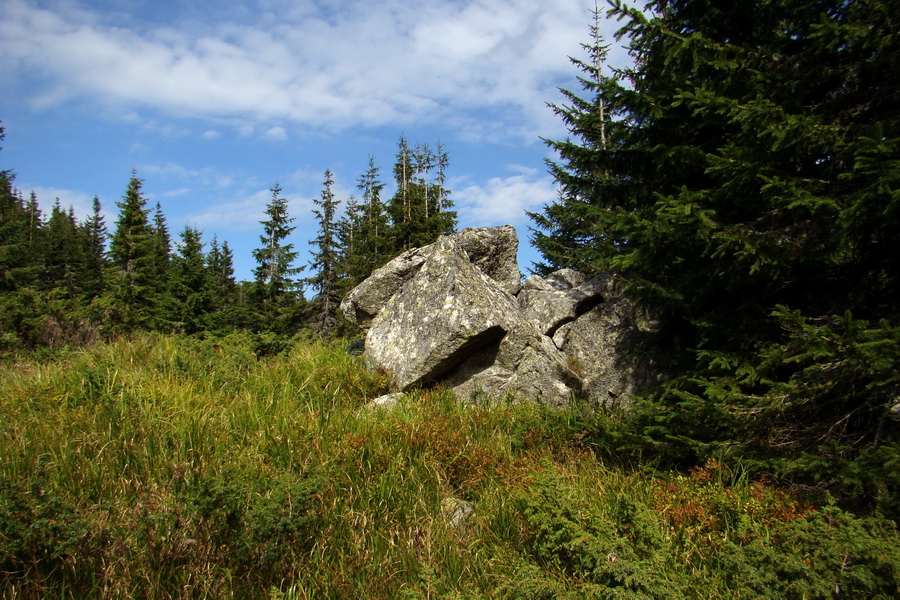 Ďumbier z Lúčok (Nízke Tatry)