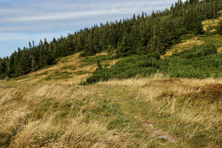 Ďumbier z Lúčok (Nízke Tatry)