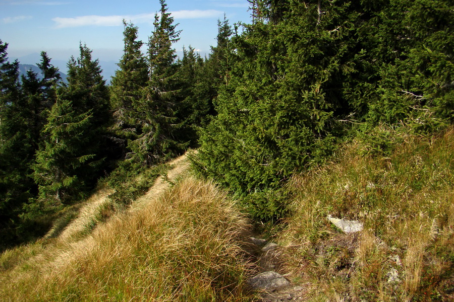 Ďumbier z Lúčok (Nízke Tatry)