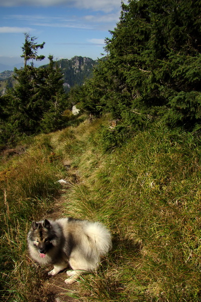 Ďumbier z Lúčok (Nízke Tatry)