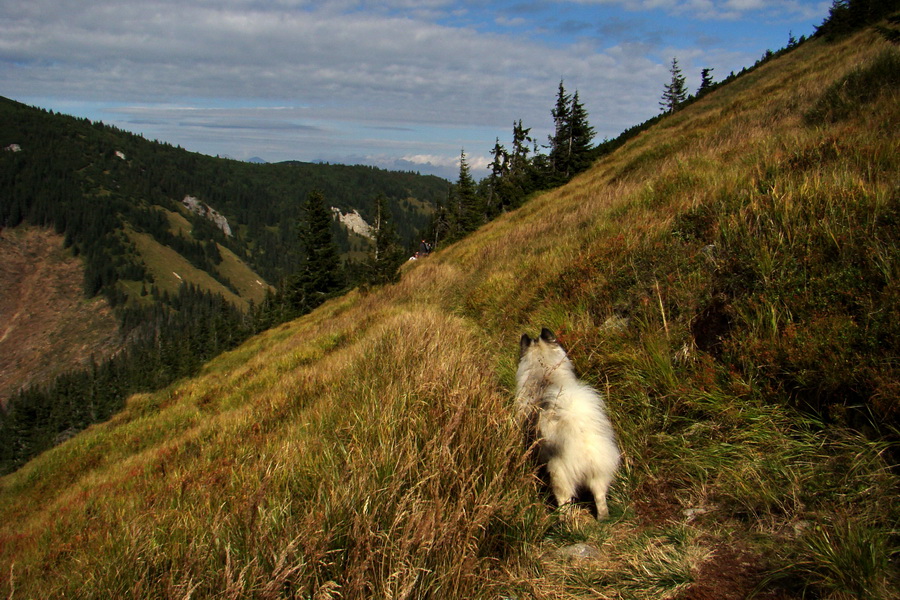 Ďumbier z Lúčok (Nízke Tatry)