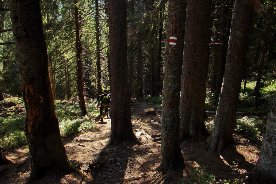 Ďumbier z Lúčok (Nízke Tatry)