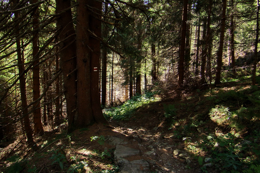 Ďumbier z Lúčok (Nízke Tatry)