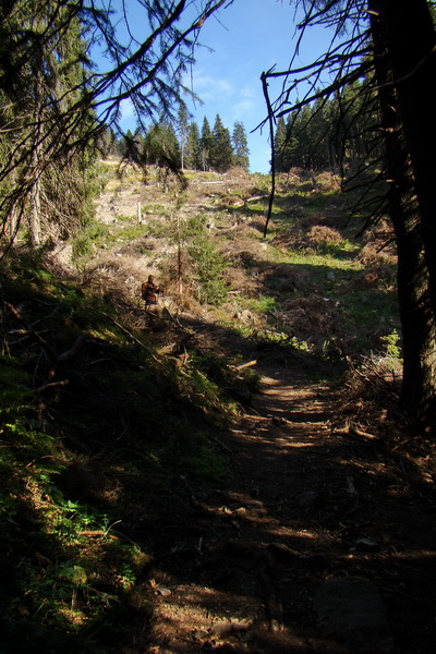 Ďumbier z Lúčok (Nízke Tatry)