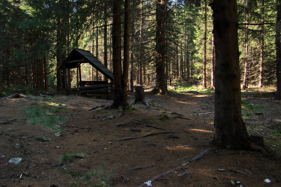 Ďumbier z Lúčok (Nízke Tatry)