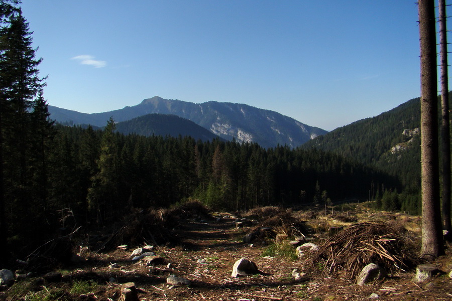 Ďumbier z Lúčok (Nízke Tatry)