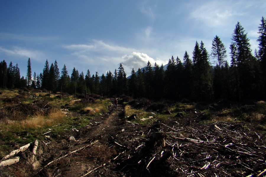 Ďumbier z Lúčok (Nízke Tatry)