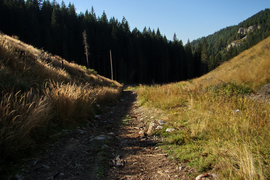 Ďumbier z Lúčok (Nízke Tatry)