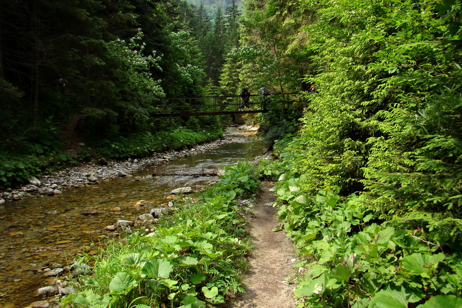 Geravy Tomášovskou Belou (Slovenský raj)