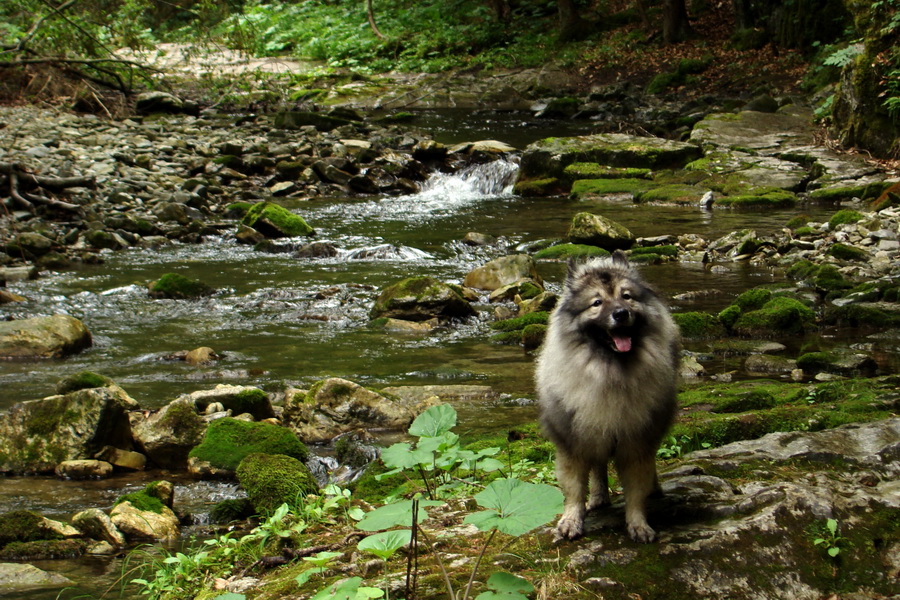 Geravy Tomášovskou Belou (Slovenský raj)