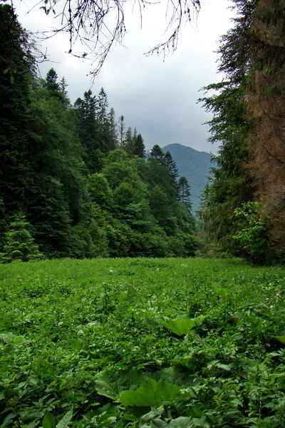 Geravy Tomášovskou Belou (Slovenský raj)