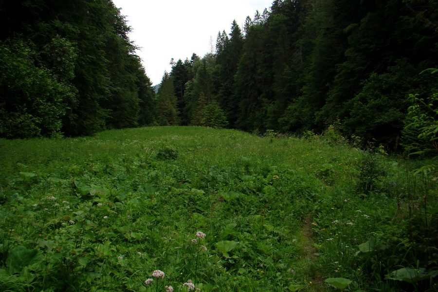 Geravy Tomášovskou Belou (Slovenský raj)