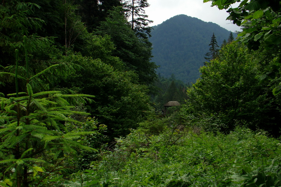 Geravy Tomášovskou Belou (Slovenský raj)