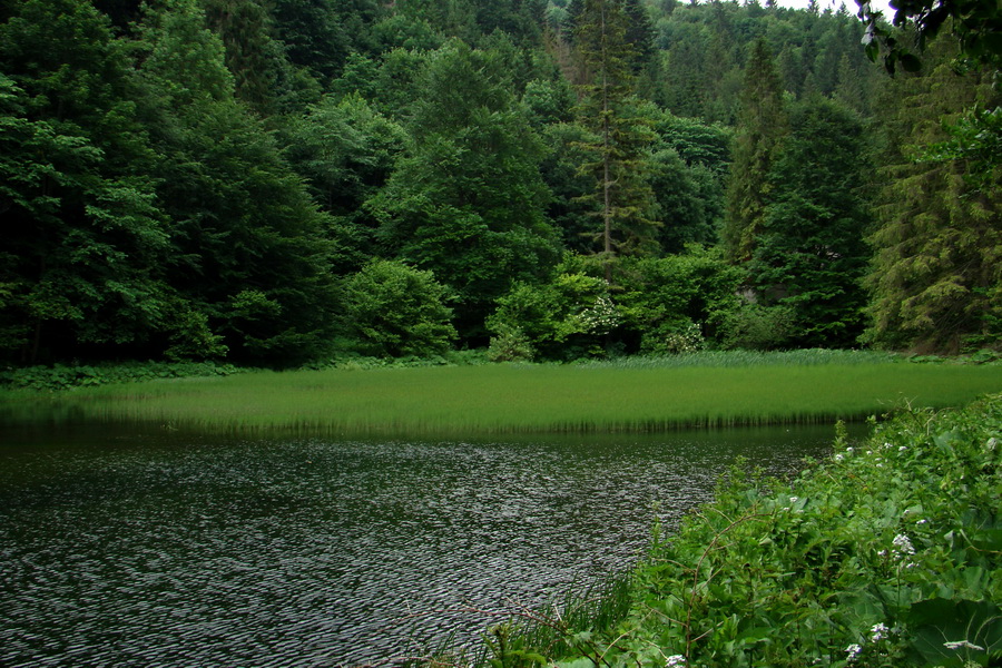 Geravy Tomášovskou Belou (Slovenský raj)