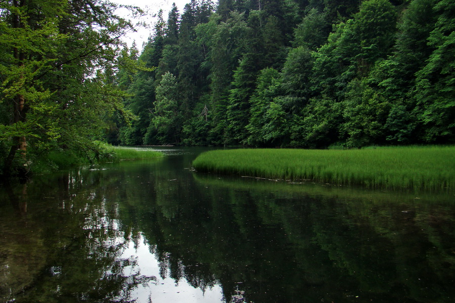 Geravy Tomášovskou Belou (Slovenský raj)