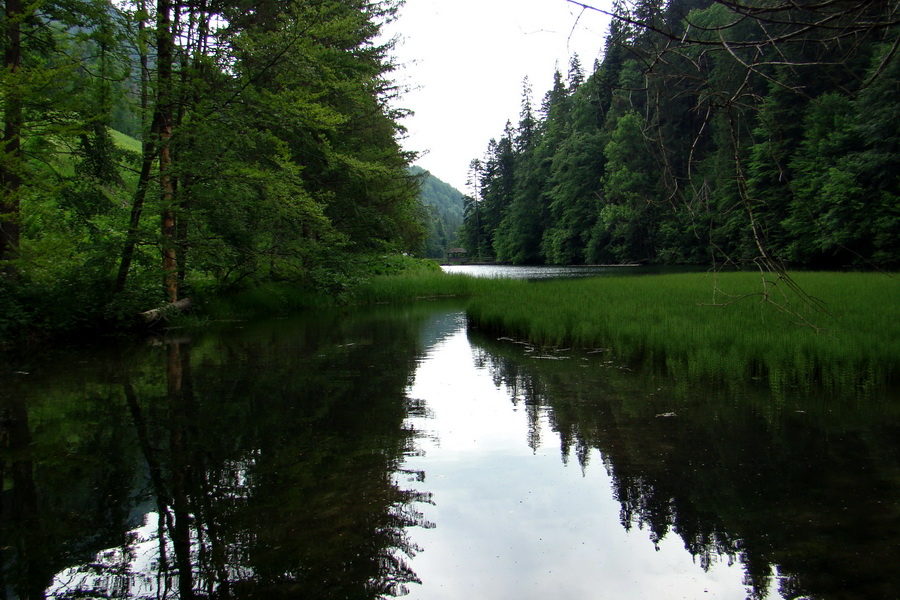 Geravy Tomášovskou Belou (Slovenský raj)