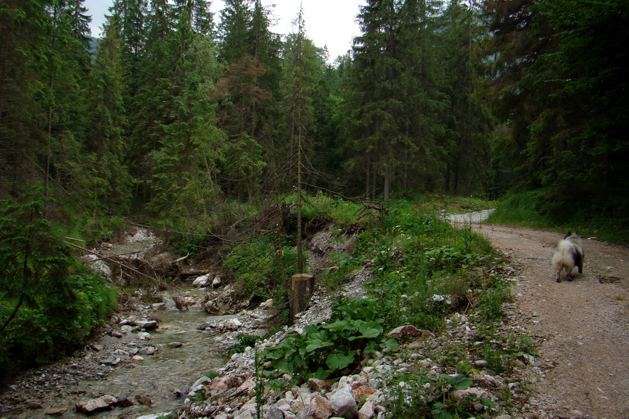 Geravy Tomášovskou Belou (Slovenský raj)