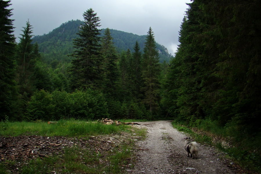 Geravy Tomášovskou Belou (Slovenský raj)