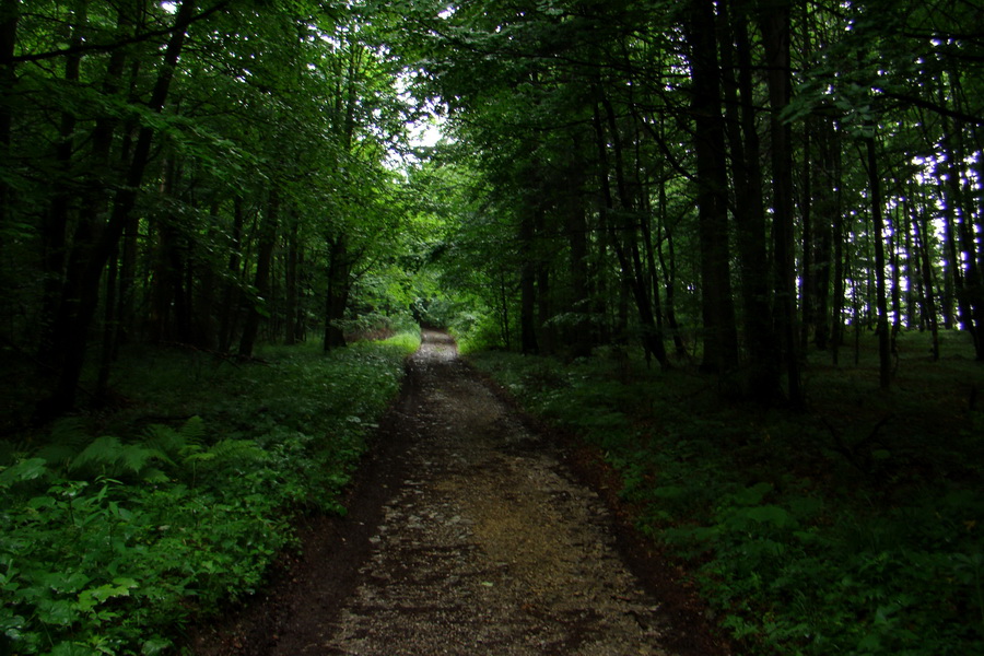 Geravy Tomášovskou Belou (Slovenský raj)