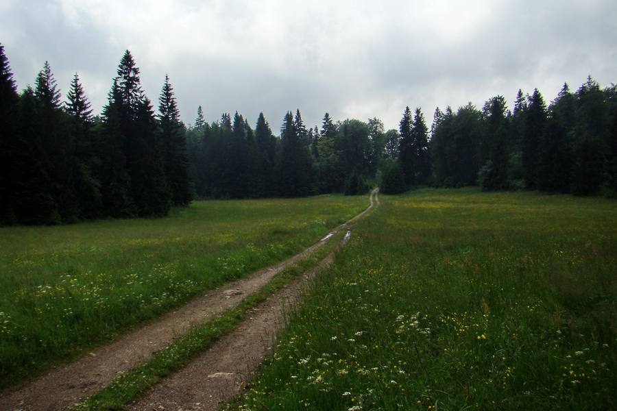 Geravy Tomášovskou Belou (Slovenský raj)