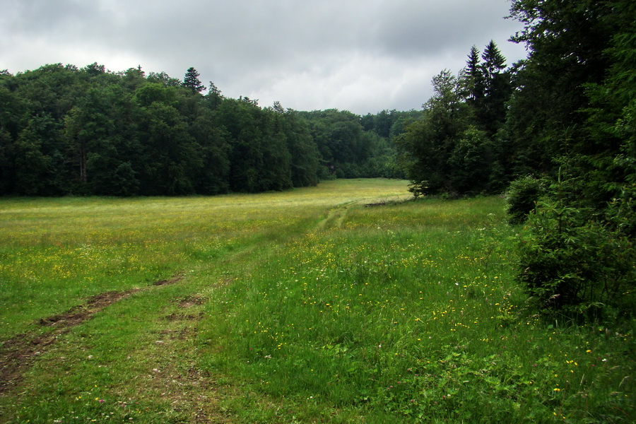 Geravy Tomášovskou Belou (Slovenský raj)