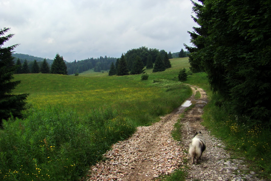 Geravy Tomášovskou Belou (Slovenský raj)