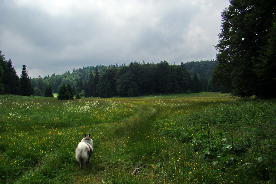 Geravy Tomášovskou Belou (Slovenský raj)