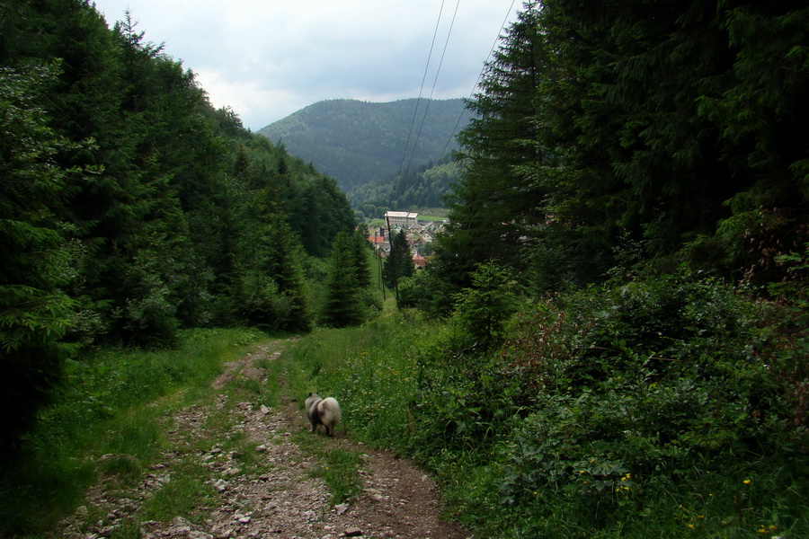 Geravy Tomášovskou Belou (Slovenský raj)