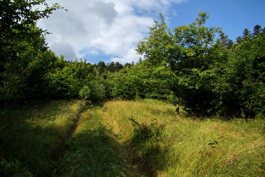 Havrania hlava z Gelnice (Volovské vrchy)