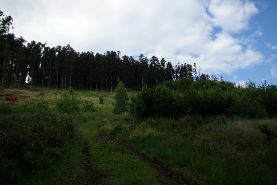 Havrania hlava z Gelnice (Volovské vrchy)