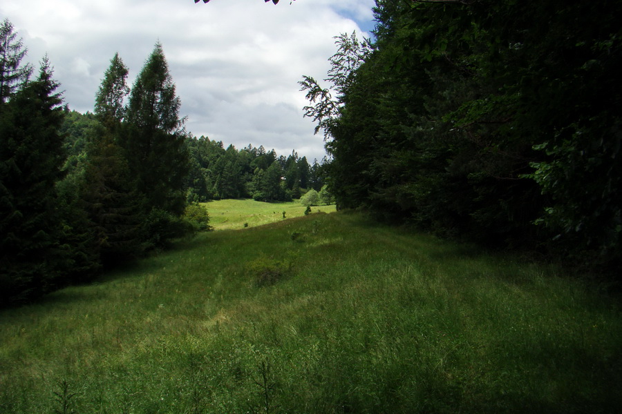 Havrania hlava z Gelnice (Volovské vrchy)