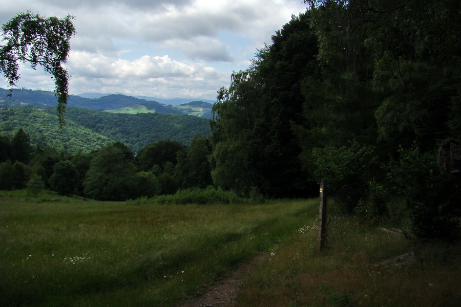 Havrania hlava z Gelnice (Volovské vrchy)