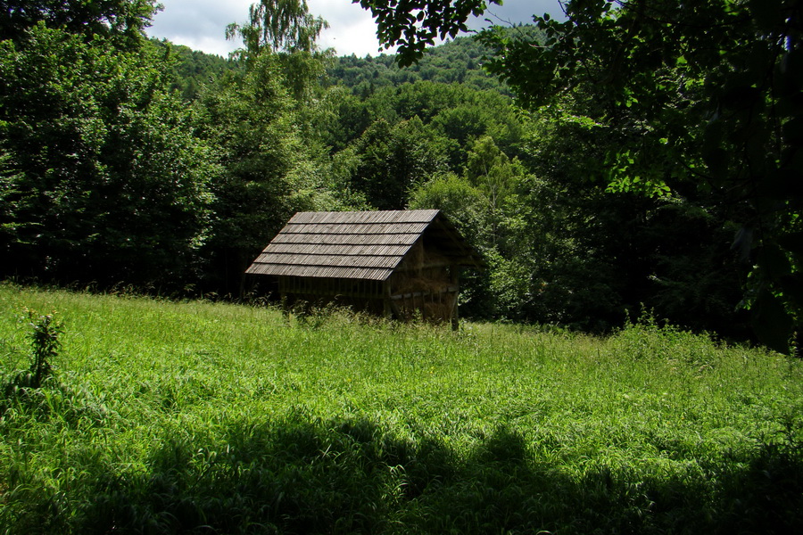 Havrania hlava z Gelnice (Volovské vrchy)