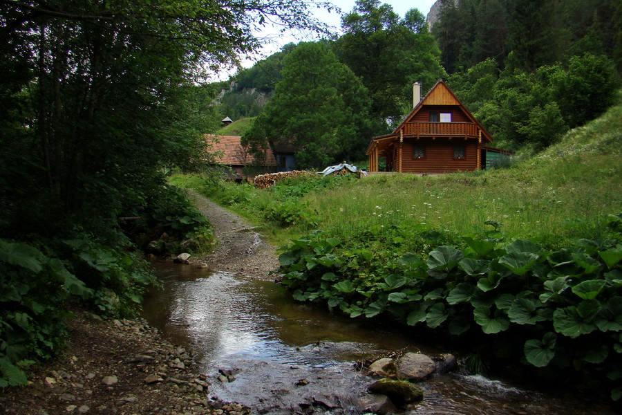 Havrania hlava z Gelnice (Volovské vrchy)