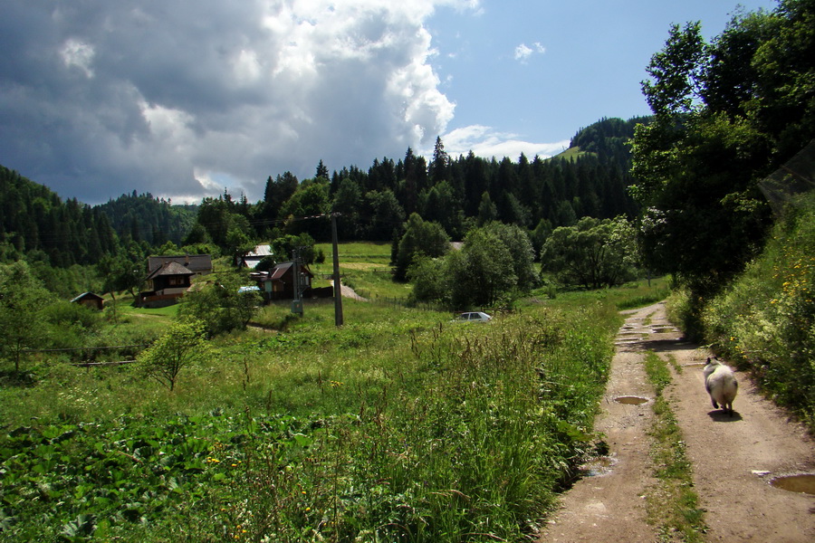 Havrania hlava z Gelnice (Volovské vrchy)