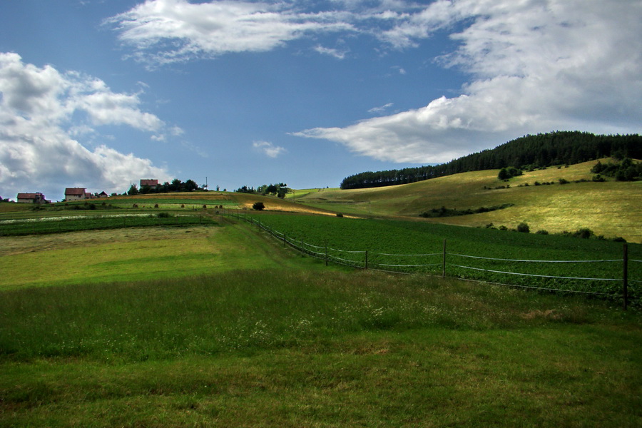 Havrania hlava z Gelnice (Volovské vrchy)