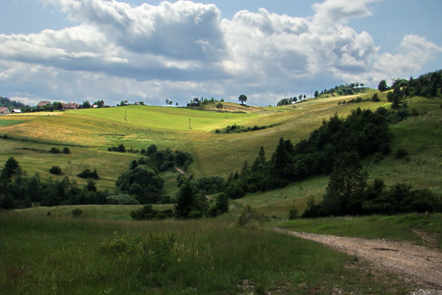 Havrania hlava z Gelnice (Volovské vrchy)