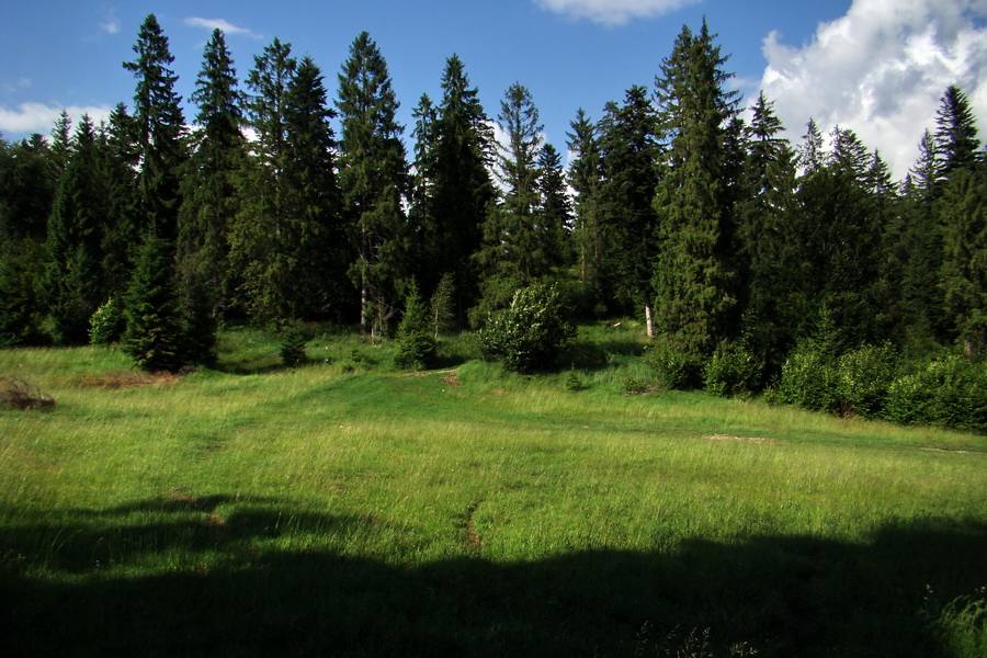 Havrania hlava z Gelnice (Volovské vrchy)