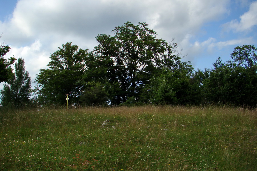 Havrania hlava z Gelnice (Volovské vrchy)