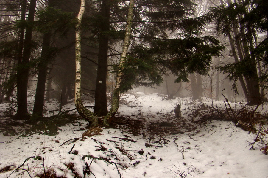 Kloptaň z Mníška nad Hnilcom (Vysoké Tatry)