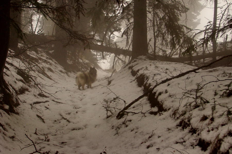 Kloptaň z Mníška nad Hnilcom (Vysoké Tatry)