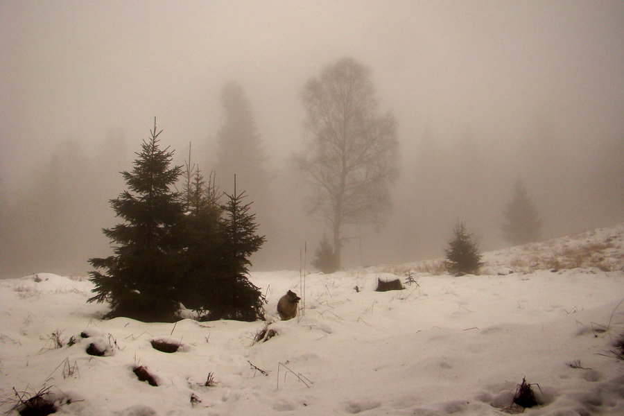 Kloptaň z Mníška nad Hnilcom (Vysoké Tatry)