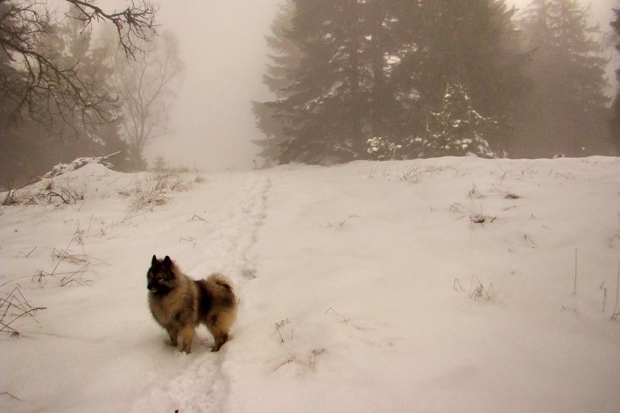 Kloptaň z Mníška nad Hnilcom (Vysoké Tatry)