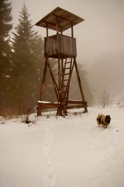 Kloptaň z Mníška nad Hnilcom (Vysoké Tatry)