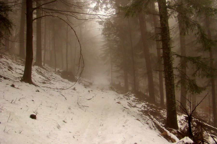 Kloptaň z Mníška nad Hnilcom (Vysoké Tatry)