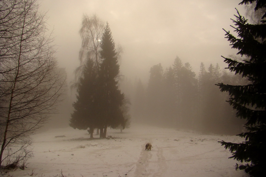 Kloptaň z Mníška nad Hnilcom (Vysoké Tatry)