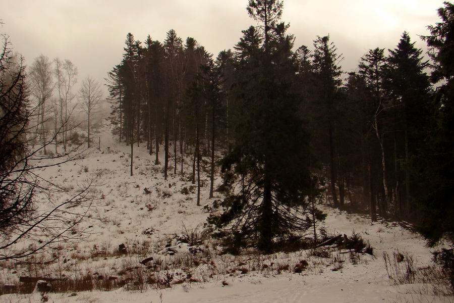 Kloptaň z Mníška nad Hnilcom (Vysoké Tatry)