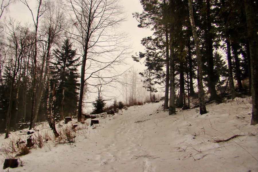 Kloptaň z Mníška nad Hnilcom (Vysoké Tatry)