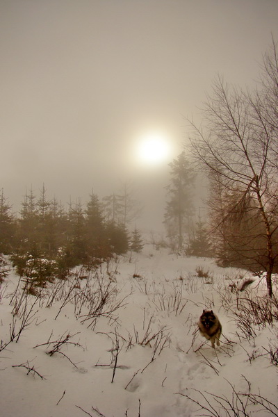 Kloptaň z Mníška nad Hnilcom (Vysoké Tatry)